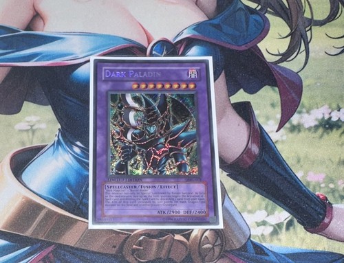 Dark paladin dmg 001 - paladin, dmg-001